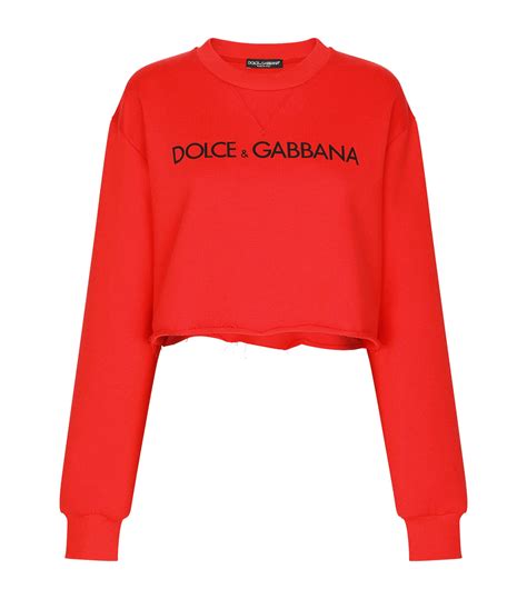 dolce gabbana ladies sweaters.